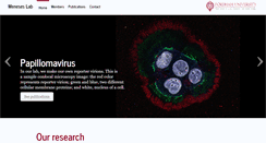 Desktop Screenshot of meneseslab.com